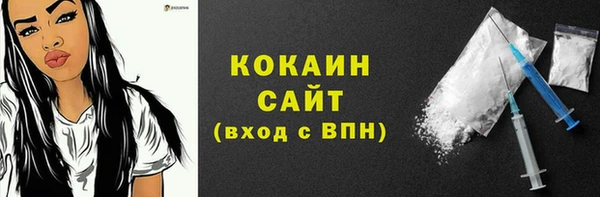 шишки Армянск