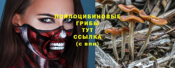 MDMA Аркадак