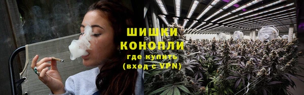 шишки Армянск