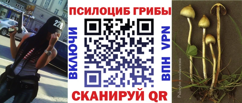 Галлюциногенные грибы ЛСД  Коряжма 